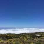 Фото - iestafeta.com