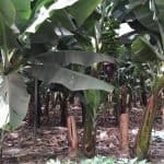 Фото - iestafeta.com