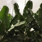 Фото - iestafeta.com