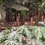 Фото - iestafeta.com