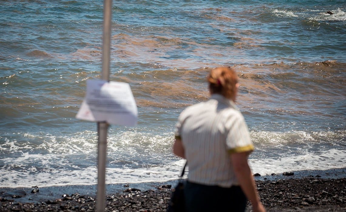 Ученый с Gran Canaria опровергает официальную версию о микроводорослях