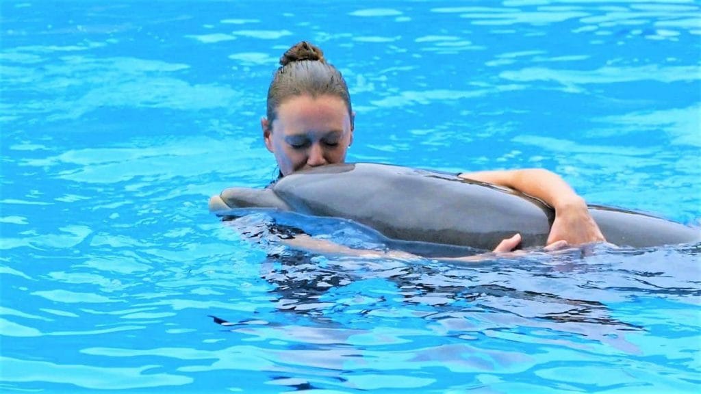 Судмедэксперты: британка Amy Louise погибла случайно