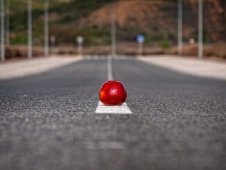 Работы по асфальтированию шоссе TF-1 начнутся "в ближайшее время"