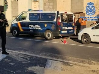 Santa Cruz de Tenerife: воры утащили из дома даже домашних животных