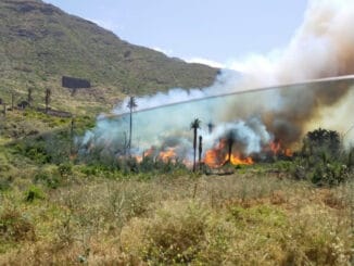 Испуг на Тенерифе: пожарные 7 часов боролись с огнём на севере острова