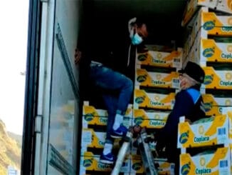 Мигранты стараются сбежать с Тенерифе на материк - не у всех это получается