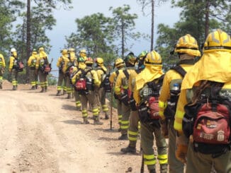 Пожар на Тенерифе продолжается, сведения об уровне проблемы противоречивы