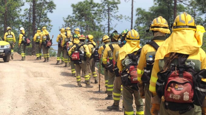 Пожар на Тенерифе продолжается, сведения об уровне проблемы противоречивы Пожар на Тенерифе продолжается, сведения об уровне проблемы противоречивы