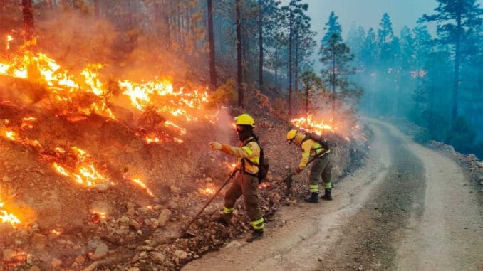 Пожар на Тенерифе окружили и притушили, пока не окончательно