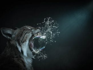 На мировом рынке недвижимости ситуация, очень похожая на "пузырь" 2008-го года