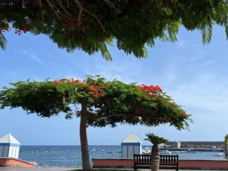 Надоела жара, соскучились по плохой погоде? На Канары возвращаются дожди и холод