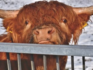 Внимание! На выходные дни будут проводиться массовые скрининги на коронавирус