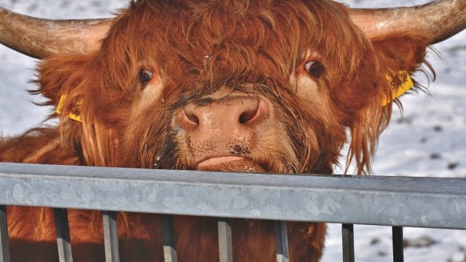 Внимание! На выходные дни будут проводиться массовые скрининги на коронавирус Внимание! На выходные дни будут проводиться массовые скрининги на коронавирус