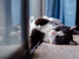 Погода сговорилась с вирусом? Новое предупреждение от совета по здравоохранению