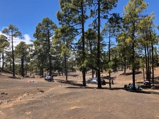 Кабильдо Тенерифе инвестирует в улучшение зон отдыха в горах острова