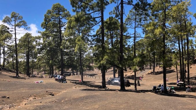 Кабильдо Тенерифе инвестирует в улучшение зон отдыха в горах острова Кабильдо Тенерифе инвестирует в улучшение зон отдыха в горах острова