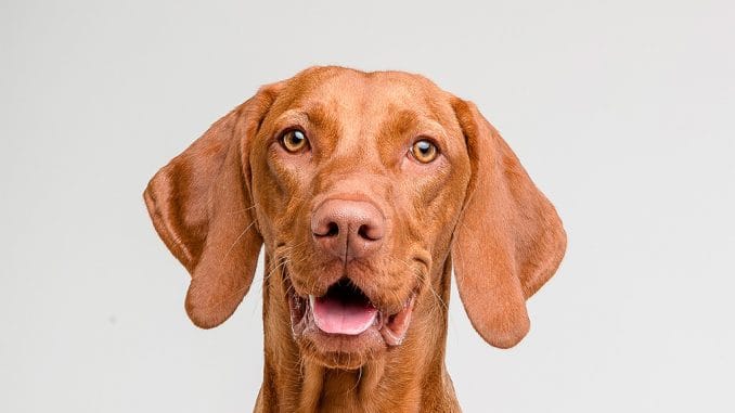 Тенерифе: мошенничестве при бронировании отелей и вилл на острове