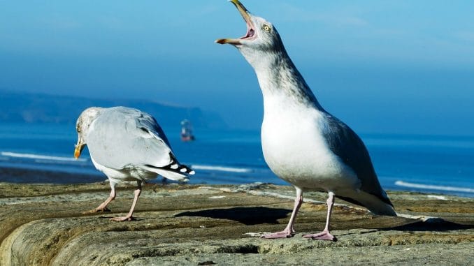Праздник на Канарах: прибывают первые самолёты с туристами из Великобритании