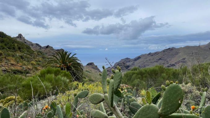 Тенерифе является вторым по популярности в Европе туристическим направлением этого лета Тенерифе является вторым по популярности в Европе туристическим направлением этого лета