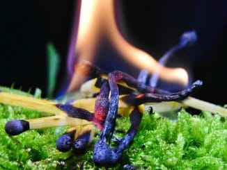 На Канарах объявлено максимальное предупреждение об опасности пожаров на островах