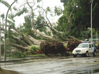К югу от Канарских островов рождается мощный циклон. Доберётся до архипелага?