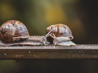 Продажа жилья на вторичном рынке "остывает": зафиксировано резкое снижение в августе