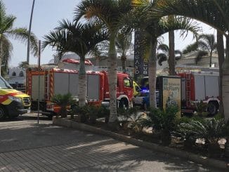 Las Verónicas: в воскресенье упала пальма, есть пострадавшие