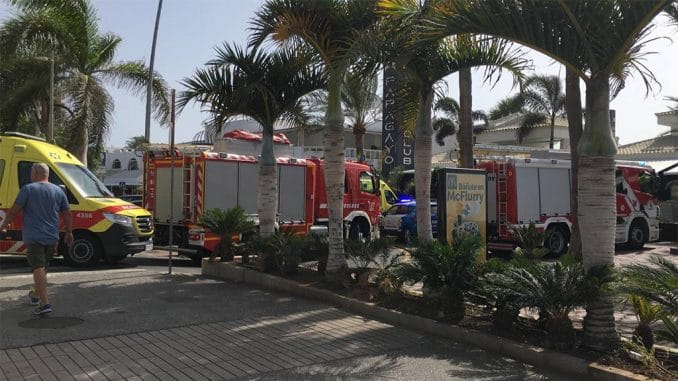 Las Verónicas: в воскресенье упала пальма, есть пострадавшие Las Verónicas: в воскресенье упала пальма, есть пострадавшие