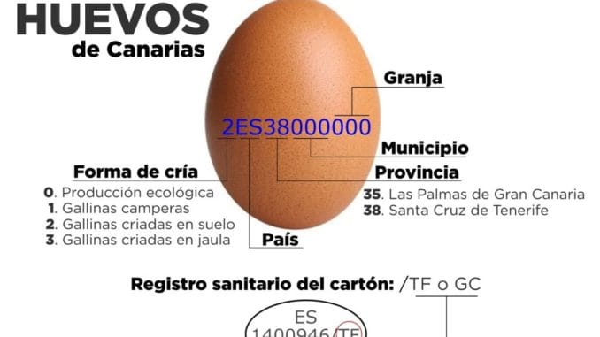 Местные производители предупреждают: на Канарах продают "обманные яйца"
