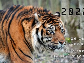 О самом хорошем и важном под Новый, 2022-й, Тигриный !
