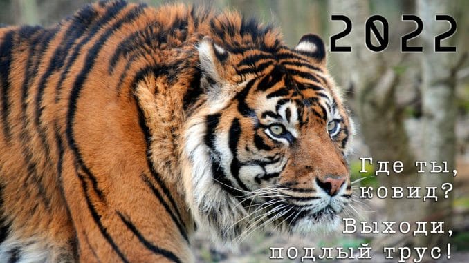 О самом хорошем и важном под Новый, 2022-й, Тигриный ! О самом хорошем и важном под Новый, 2022-й, Тигриный !
