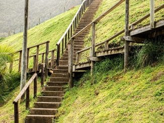 Вверх по лестнице, ведущей вниз: на Канарах поднимают уровни опасности по Covid-19