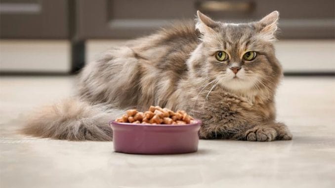 Новые меры и ограничения против коронавируса на Канарских островах Новые меры и ограничения против коронавируса на Канарских островах