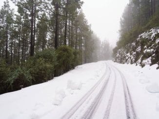 Гражданская гвардия прибыла к Тейде с задачей не допускать возникновения скопления людей
