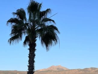 Жёлтое предупреждение на Канарах из-за калимы и сильного ветра