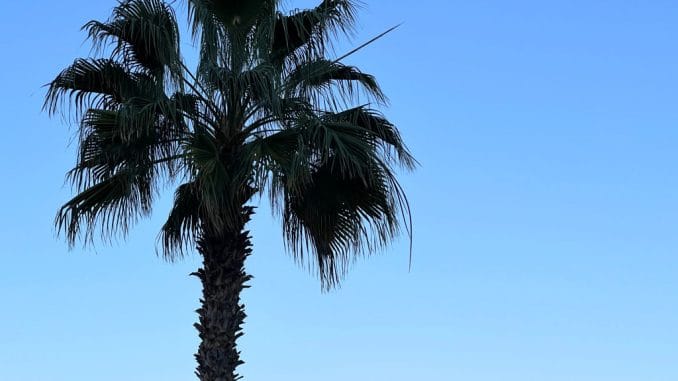 Жёлтое предупреждение на Канарах из-за калимы и сильного ветра Жёлтое предупреждение на Канарах из-за калимы и сильного ветра