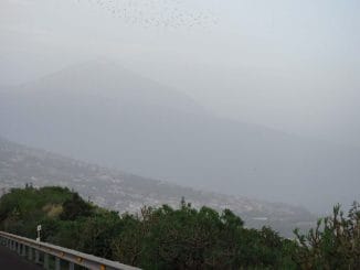 Канарские острова: прогноз погоды на следующую неделю от Aemet