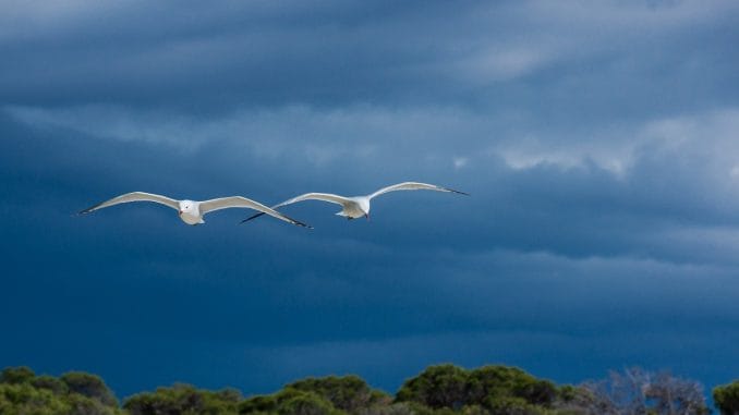 Канарские острова ожидают свой первый осенний шторм с большими осадками Канарские острова ожидают свой первый осенний шторм с большими осадками