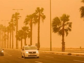 Калима, гуляя по полуострову, скоро вернётся и на Канарский архипелаг