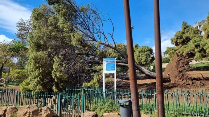 За последние 24 часа - около 500 инцидентов, вызванных сильными порывами ветра За последние 24 часа - около 500 инцидентов, вызванных сильными порывами ветра