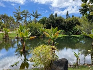 Пасха на Канарских островах: почти без ограничений, разве что бензин дорогой