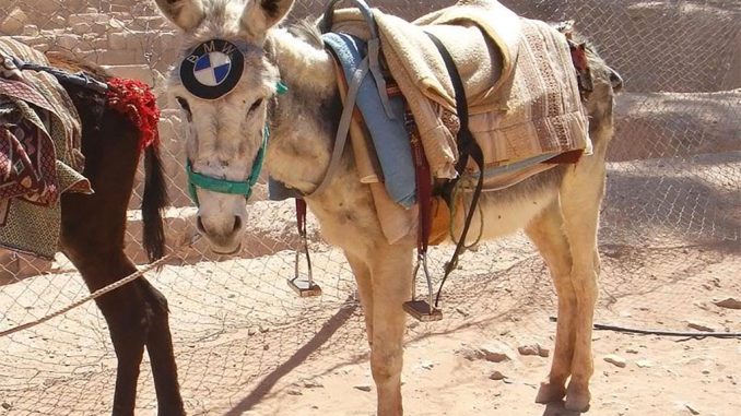 Водители - готовимся пересаживаться на ишаков? Грядёт очередное уменьшение скорости