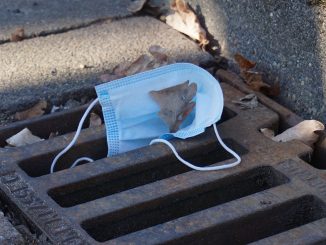 Правительство поправило: маска для лица обязательна в общественном транспорте