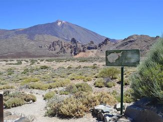 Сколько раз повторять: не оставляйте вещей в машине на виду! Поймали ещё двух воров на Тейде