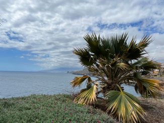 На Канарских островах - предупреждение жёлтого цвета в связи с погодой