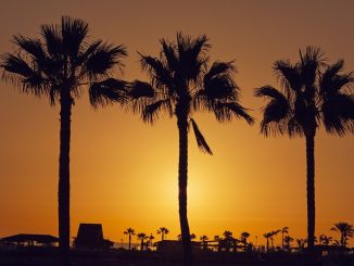 На Канарских островах жёлтое предупреждение из-за сильного ветра и волн