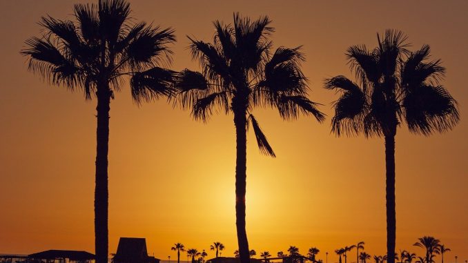 На Канарских островах жёлтое предупреждение из-за сильного ветра и волн На Канарских островах жёлтое предупреждение из-за сильного ветра и волн