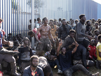 Правительство Канар признаёт: нелегальная миграция будет только увеличиваться