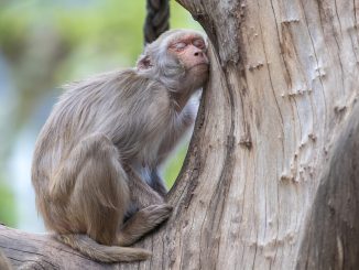 Ипотека, которая грядёт вскоре и станет обходиться дороже, особенно для семей