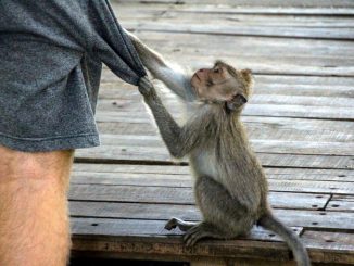 К большому сожалению: полиция о мерах безопасности против краж этим летом